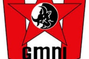 Logo GMNI